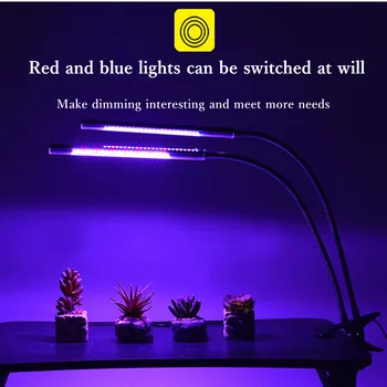 10 Вт/20 Вт Светодиодный светильник для выращивания Полного спектра, USB фитолампа с 3 режимами, функция синхронизации Для освещения комнатных цветов и растений